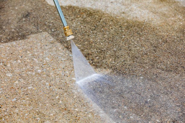 Best Driveway Pressure Washing  in Bremen, GA